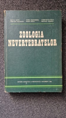ZOOLOGIA NEVERTEBRATELOR - Matic, Nastasescu foto