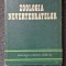 ZOOLOGIA NEVERTEBRATELOR - Matic, Nastasescu
