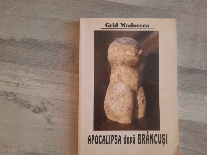 Apocalipsa dupa Brancusi de Grid Modorcea