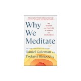Why We Meditate: The Science and Practice of Clarity and Compassion