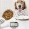 Cantar portabil tip lopatica, pentru masurare mancare pentru animale de companie