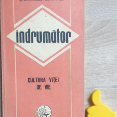 Indrumator cultura vitei de vie