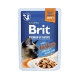 Pliculeț BRIT Premium Cat Delicate Fillets in Gravy with Turkey 85 g