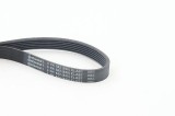 Curea transmisie cu caneluri Audi A1, A3, Tt; Seat Altea, Altea XL; Skoda Fabia II, Octavia II; VW Beetle, Caddy Alltrack, Caddy III, Caddy IV Motor