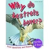 Why do kestrels hover?