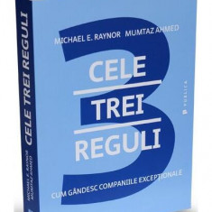 Cele trei reguli - Paperback brosat - Michael E. Raynor, Mumtaz Ahmed - Publica