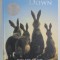 WATERSHIP DOWN , roman de RICHARD ADAMS , TEXT IN LIMBA ROMANA , 2019
