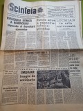 Scanteia 8 decembrie 1968-art. si foto orasul timisoara,art. cluj,aiud,s.luchian