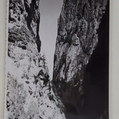 INTRAREA LA CHEILE BICAZULUI , REGIUNEA LACULUI GHILCOS , FOTOGRAFIE TIP CARTE POSTALA , 1935