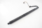 Amortizor haion dreapta TESLA MODEL S 2016 OEM: 6006610-00-B,6006610-00 10821208