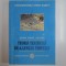 TEORIA TEATRULUI DE-A LUNGUL TIMPULUI de EUGEN VIRGIL NICOARA, 2004
