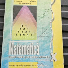 MATEMATICA TRUNCHI COMUN SI CURRICULUM DIFERENTIAT CLASA A X A NASTASESCU NITA