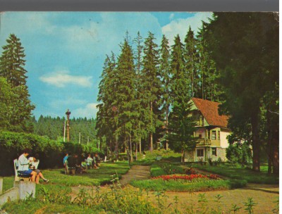 CPIB 15168 - CARTE POSTALA - BORSEC foto