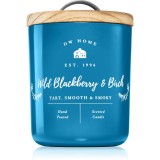 DW Home Farmhouse Wild Blackberry &amp; Birch lum&acirc;nare parfumată 255 g