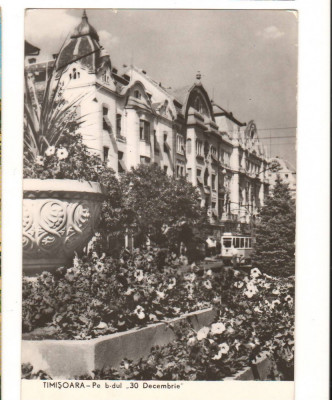 CPI B 11156 CARTE POSTALA - TIMISOARA. PE B-DUL &amp;quot;30 DECEMBRIE&amp;quot;, RPR foto