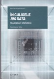 AS - RAFAEL LAHOZ - BELTRA - IN CULISELE BIG DATA, O ABORDARE STATISTICA