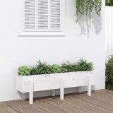 Cumpara ieftin Strat &icirc;nălțat de grădină, alb, 121x30x38 cm, lemn masiv de pin