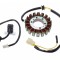 Stator aprindere 18 bobine, SHINERAY ATV250 ST-9C, inaltime bobina 29mm Cod Produs: MX_NEW ZQI2001
