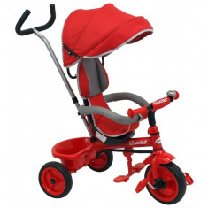 Tricicleta pentru copii Ecotrike Baby Mix red foto