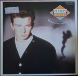 Disc Vinil Maxi Rick Astley - Whenever You Need Somebody-RCA- PT 41568, RCA Records