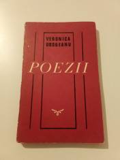 POEZII - VERONICA OBOGEANU foto