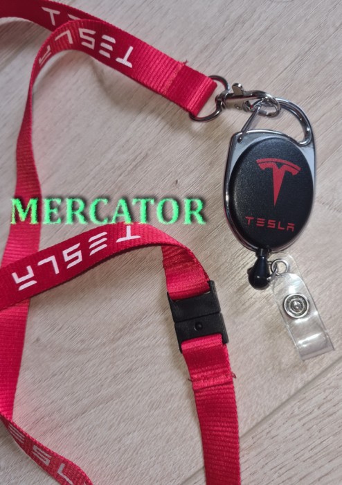 port-chei TESLA original (ideal si pt. cadou)