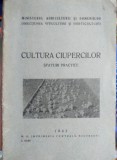 Cultura ciupercilor