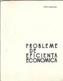Probleme Eficienta Economica Ioan Ciobotaru Editura Tehnica 1974 Cartonata Carti Afaceri Stiinte