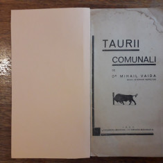 Taurii comunali - Mihail Vaida 1934 / R6P1F