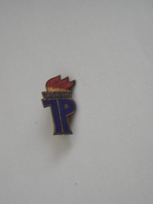 QW9 N4 71 - insigna - initiale JP - Seidbereit foto