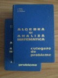 Algebra si analiza matematica. Culegere de probleme (2 volume; lagatura de lux) - D. Flondor, Nicolae Donciu