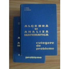 Algebra si analiza matematica. Culegere de probleme (2 volume; lagatura de lux) - D. Flondor, Nicolae Donciu