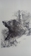 Pal Csergezan-Vaddiszno/Mistret 1974, lucrare evaluata de Koller Gallery foto