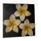 Tablou Basorelief Flori