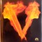 VRAJITOR SI VRAJITOARE de JAMES PATTERSON, GABRIELLE CHARBONNET, 2012