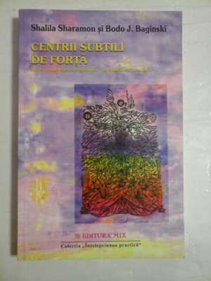 CENTRII SUBTILI DE FORTA - SHALILA SHARAMON, BODO J. BAGINSKI - sublinieri foto