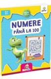 Numere pana la 100