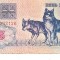 B11 - Bancnota foarte veche - Belarus - 5 ruble - 1992