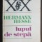 Lupul de stepă / Siddhartha - Hermann Hesse