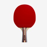 PALETĂ DE TENIS DE MASĂ TTR 530 SPIN 5* ITTF CLUB