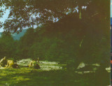 CPIB 15326 - CARTE POSTALA - COVASNA. VALEA ZANELOR, Necirculata, Fotografie
