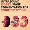 An Extended Bilateral Filter for Speckle Reduction in Ultrasound Kidney Image Segmentation for Stone Detection