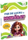 Fise de lucru de numarat. Pagini detasabile/***, Gama