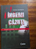 CRISTIAN SANDACHE - INGERII CAZUTI
