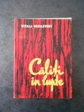 VITALI VASILEVSKI - CALITI IN LUPTE