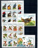 Angola 1996 - Păsări, serie minicoli si colite neuzate