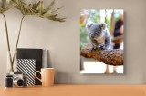 Tablou Canvas, "Puiul de koala pe creangă sigură", Koala, Ramură, Blană, Frunze, Natură, Urechi, Lemn, Drăgălaș, Explorare, Mic., 26 x 39 cm, CMCLASS