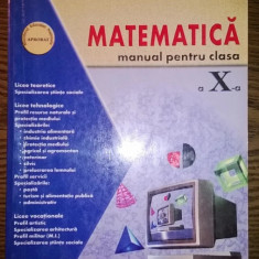 Petre Nachila, Andreea Foransbergher - Matematica - Manual pentru clasa a X-a
