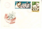 C12 - FDC Romania - Pisici - LP602 - 1965