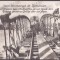 3289 - ARGES, Bridge on the river Arges Romania - old postcard - unused 17/12 cm
